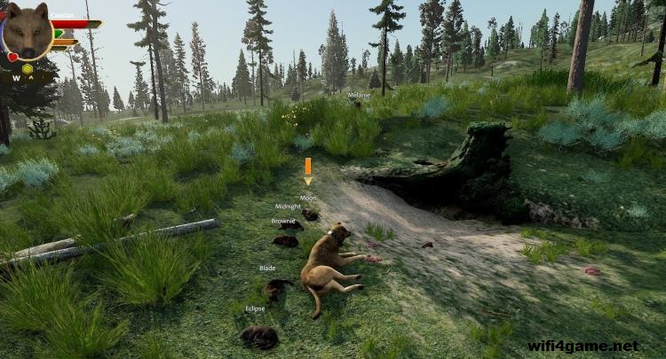 تحميل لعبة محاكي حياة الذئاب WolfQuest: Anniversary Edition - WIFI4Games