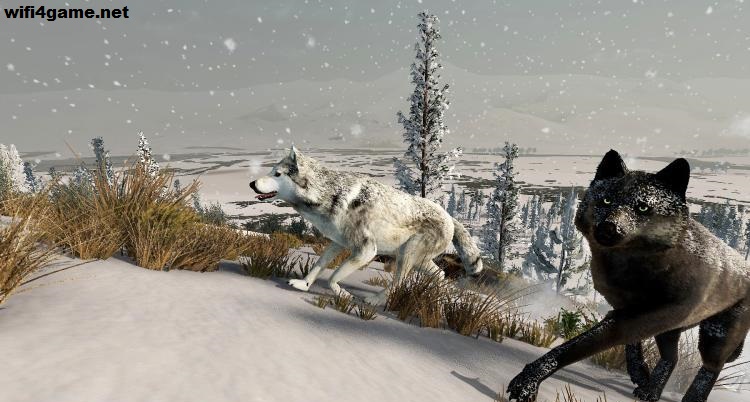 تحميل لعبة محاكي حياة الذئاب WolfQuest: Anniversary Edition - WIFI4Games